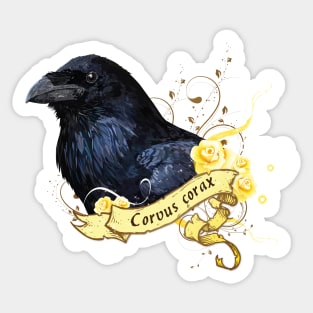 Raven Sticker